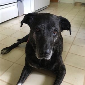 Meet your Posher, Marta